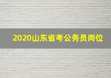 2020山东省考公务员岗位