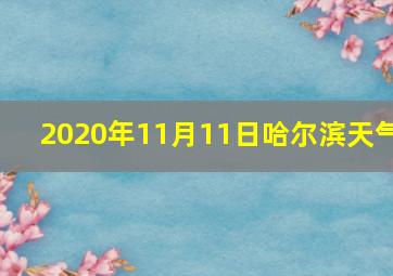 2020年11月11日哈尔滨天气