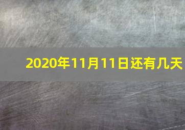 2020年11月11日还有几天