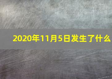 2020年11月5日发生了什么