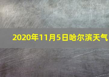 2020年11月5日哈尔滨天气