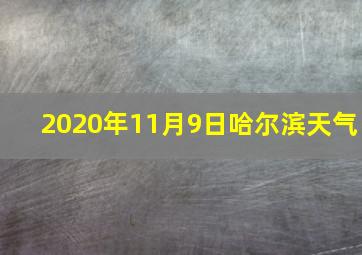 2020年11月9日哈尔滨天气