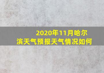 2020年11月哈尔滨天气预报天气情况如何