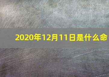 2020年12月11日是什么命