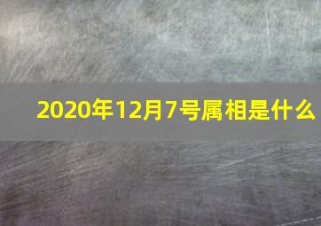 2020年12月7号属相是什么