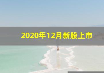 2020年12月新股上市