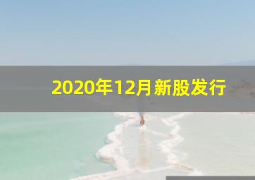 2020年12月新股发行