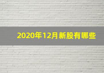 2020年12月新股有哪些