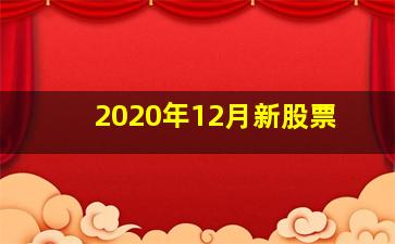 2020年12月新股票