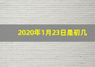 2020年1月23日是初几