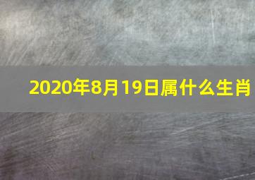 2020年8月19日属什么生肖