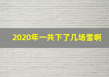 2020年一共下了几场雪啊