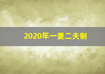 2020年一妻二夫制