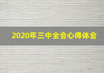 2020年三中全会心得体会