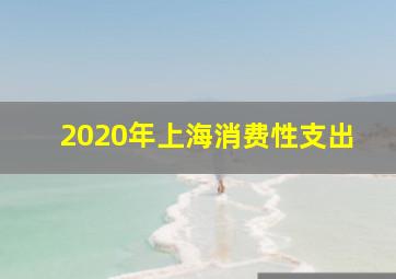 2020年上海消费性支出