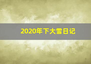 2020年下大雪日记