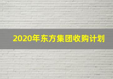 2020年东方集团收购计划