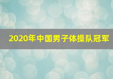 2020年中国男子体操队冠军