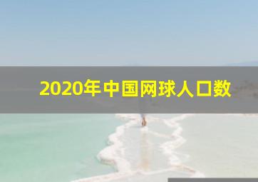 2020年中国网球人口数