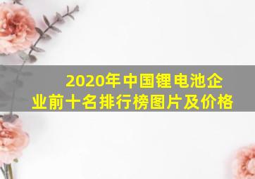 2020年中国锂电池企业前十名排行榜图片及价格