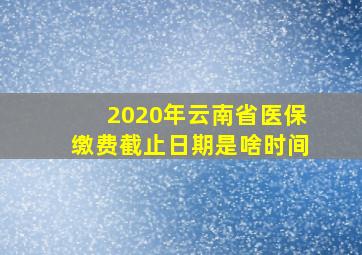 2020年云南省医保缴费截止日期是啥时间