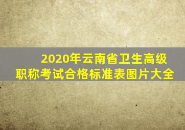 2020年云南省卫生高级职称考试合格标准表图片大全