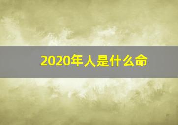 2020年人是什么命