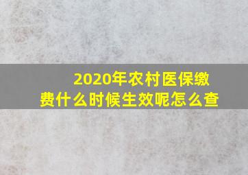 2020年农村医保缴费什么时候生效呢怎么查