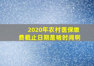 2020年农村医保缴费截止日期是啥时间啊