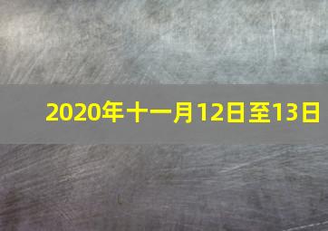 2020年十一月12日至13日