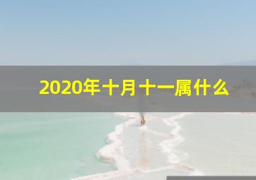 2020年十月十一属什么