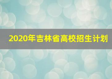 2020年吉林省高校招生计划