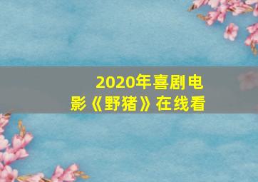 2020年喜剧电影《野猪》在线看