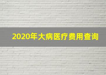 2020年大病医疗费用查询