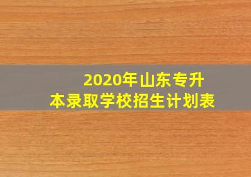 2020年山东专升本录取学校招生计划表