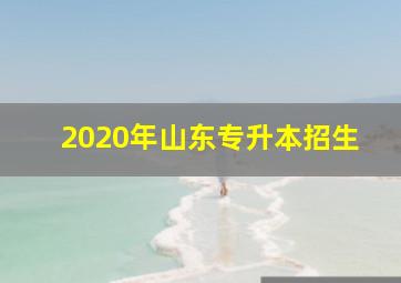 2020年山东专升本招生