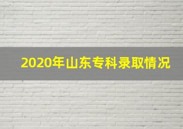 2020年山东专科录取情况