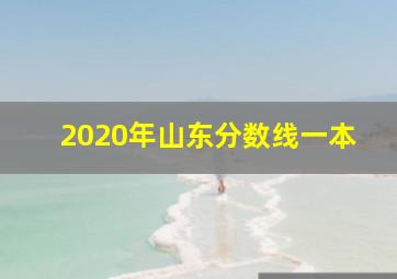 2020年山东分数线一本