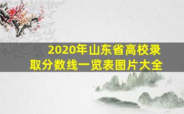 2020年山东省高校录取分数线一览表图片大全