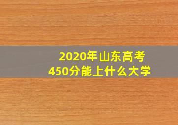 2020年山东高考450分能上什么大学