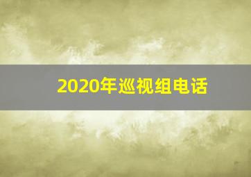 2020年巡视组电话