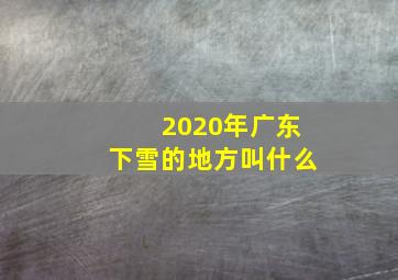 2020年广东下雪的地方叫什么