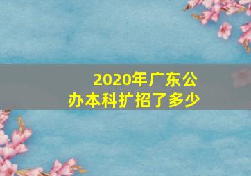 2020年广东公办本科扩招了多少