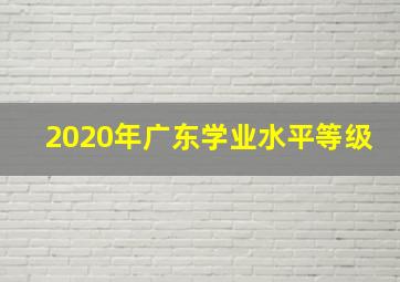 2020年广东学业水平等级