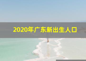 2020年广东新出生人口