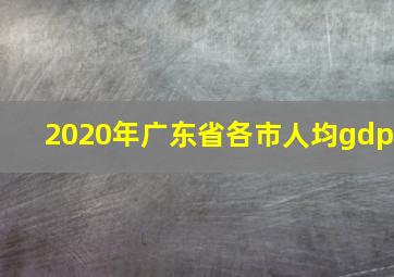 2020年广东省各市人均gdp