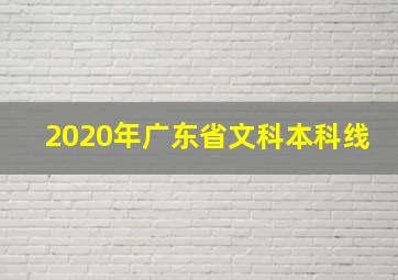 2020年广东省文科本科线