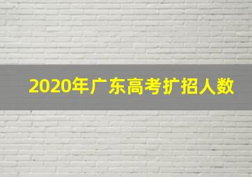 2020年广东高考扩招人数