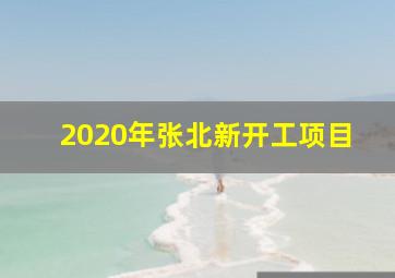 2020年张北新开工项目