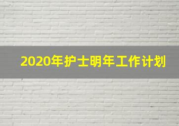 2020年护士明年工作计划